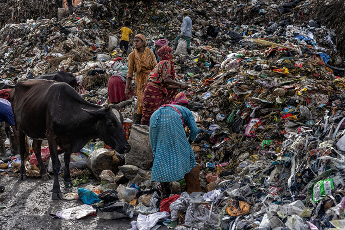 Dreams Buried in Waste