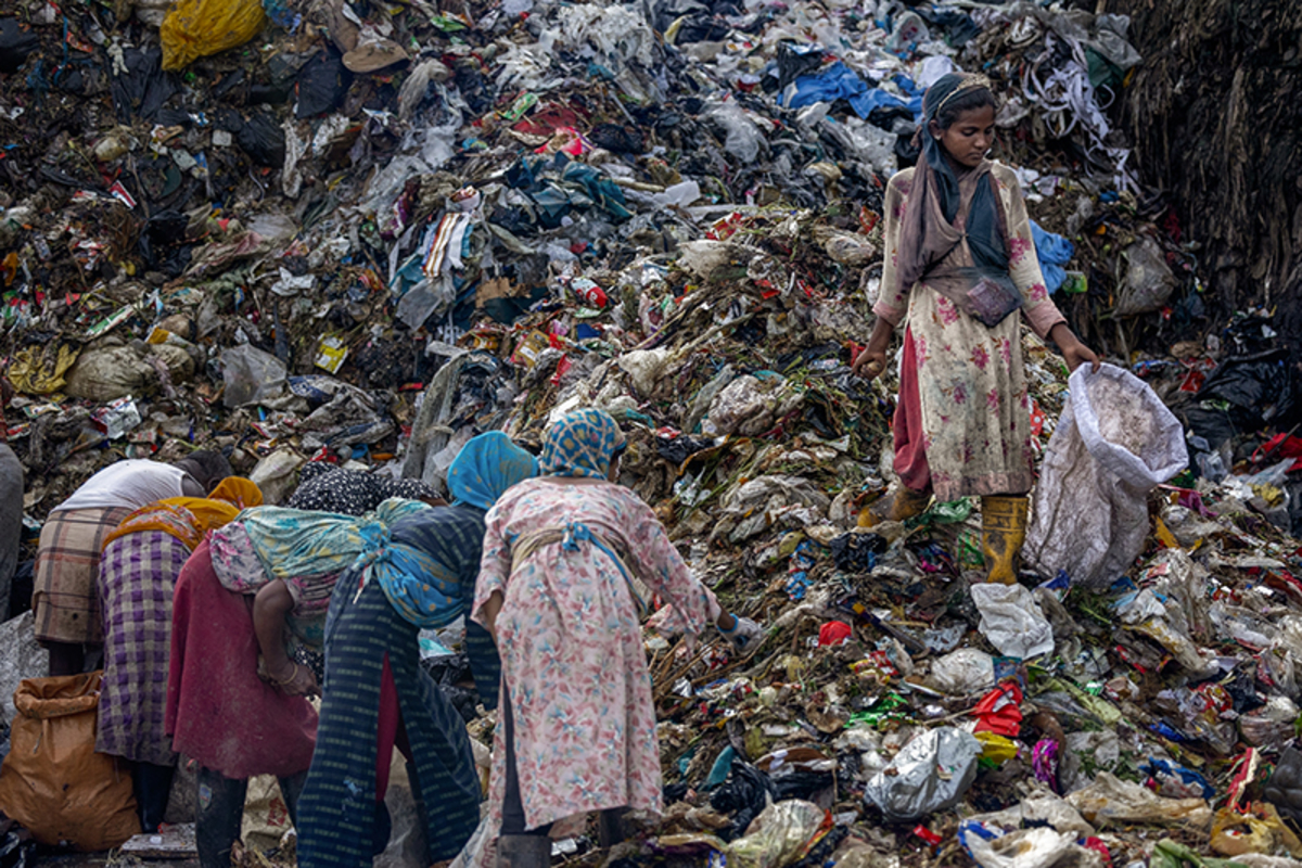 Dreams Buried in Waste