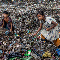 Dreams Buried in Waste
