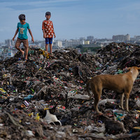 Dreams Buried in Waste