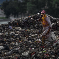 Dreams Buried in Waste