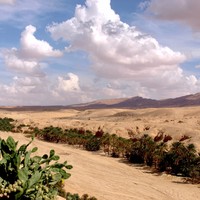TUNISIA SEEN