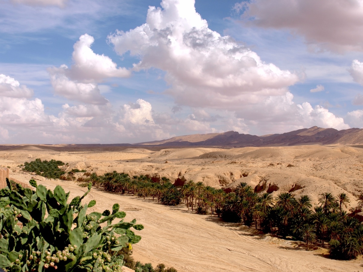 TUNISIA SEEN