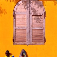 Marigold Wall Gorée, Senegal 