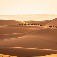 Desert Love III