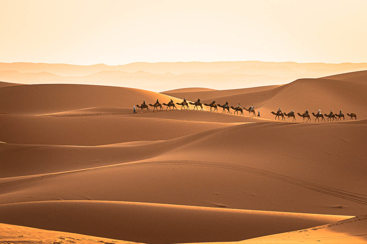 Desert Love III