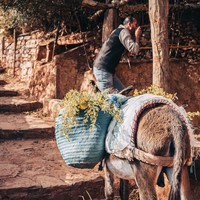 Glimpse of Maghreb