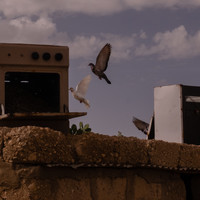 Une Tunisie en héritage