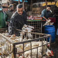 Au marché du lundi