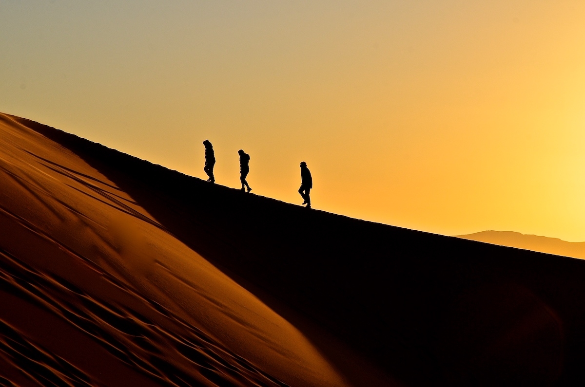 Golden hour. Sahara desert.