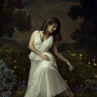 Echoes of the Lost Eden