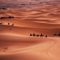 Sahara Desert 