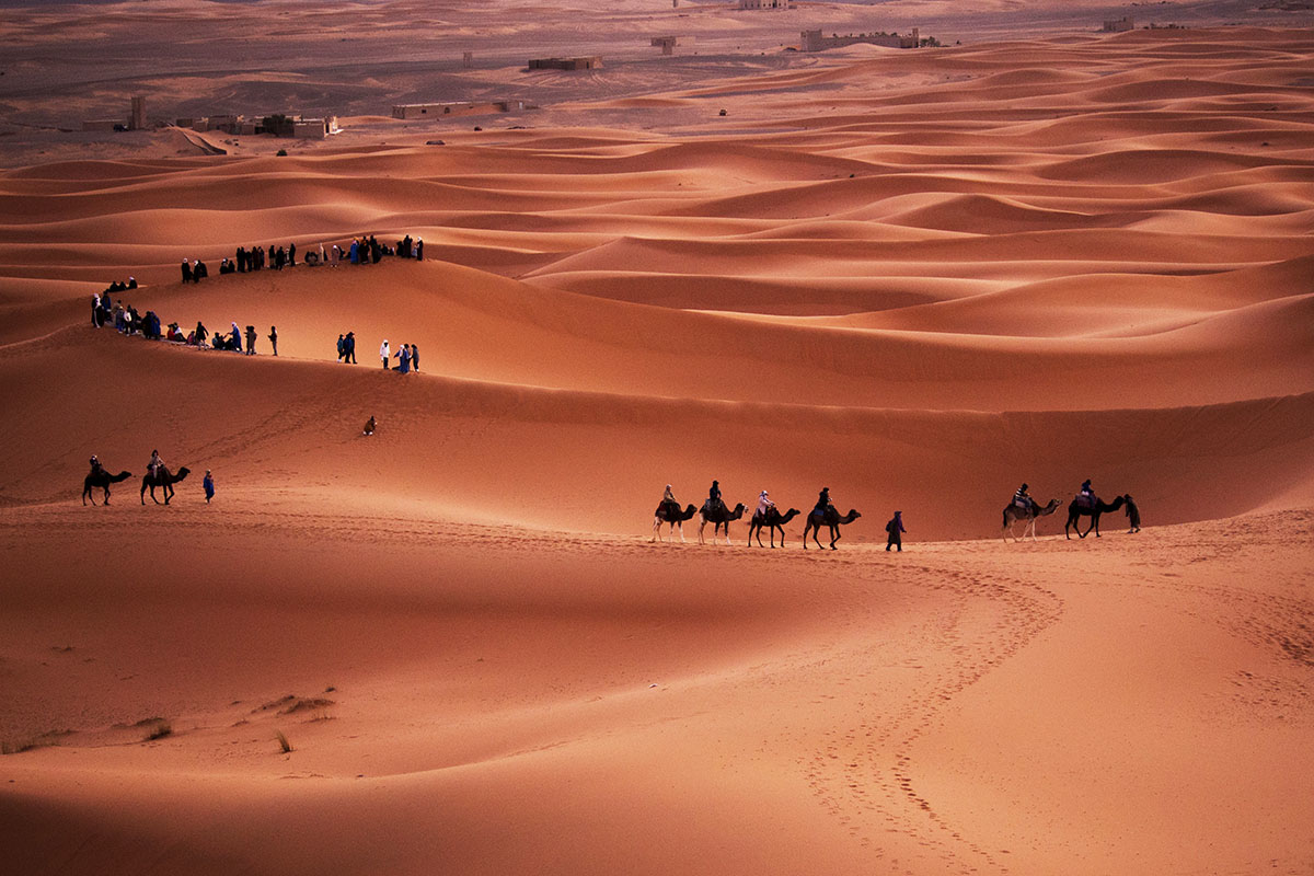 Sahara Desert 