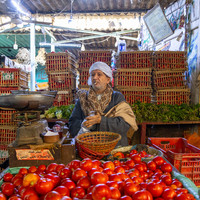 HANDS OF CAIRO
