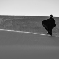 Les Hommes du desert