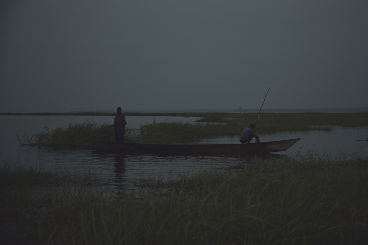Echoes of Volta