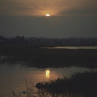 Echoes of Volta