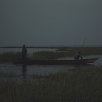 Echoes of Volta
