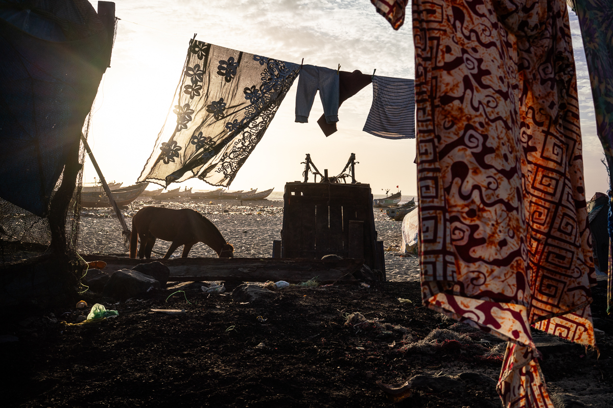 Between the laundry lines