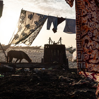 Between the laundry lines