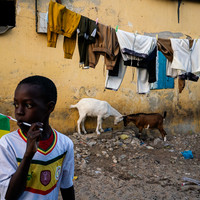 Between the laundry lines