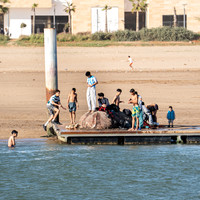 THEY FLY ABOVE WATER