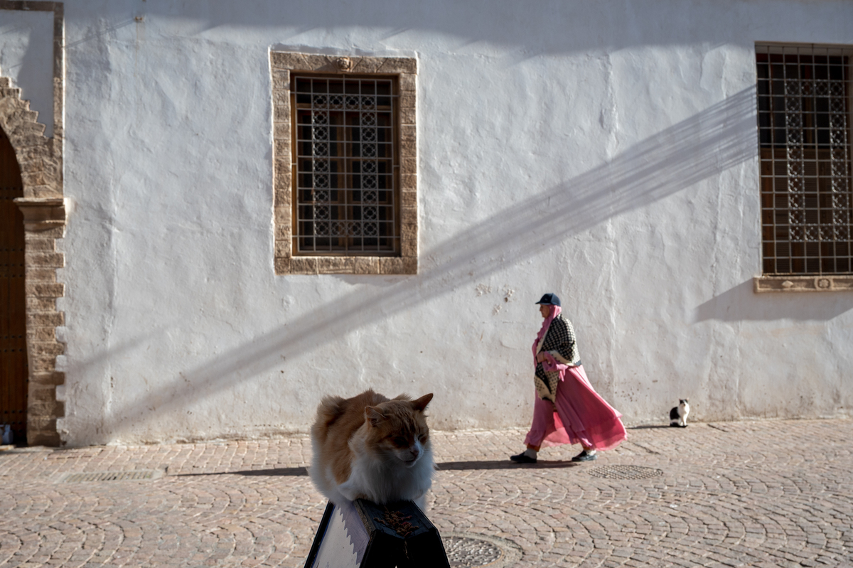 Everyday Essaouira