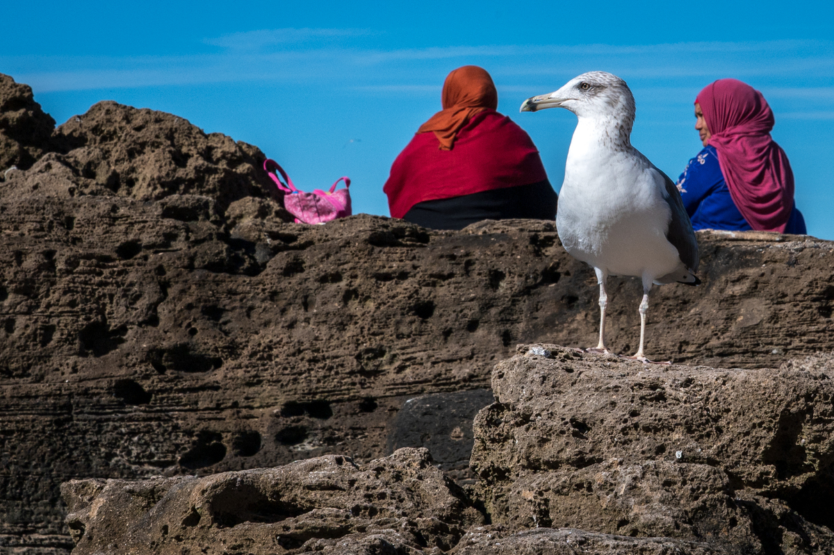 Everyday Essaouira