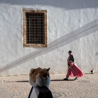 Everyday Essaouira