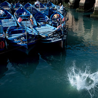 Everyday Essaouira