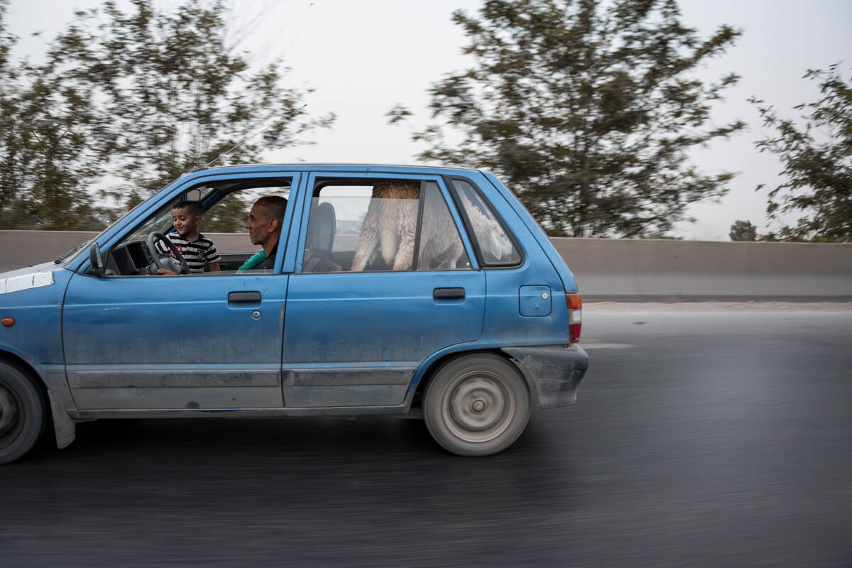Framing Algeria