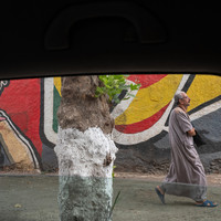 Framing Algeria
