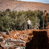 Oued Zat, Last Harvest