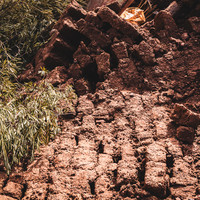 Oued Zat, Last Harvest