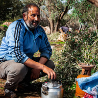 Oued Zat, Last Harvest