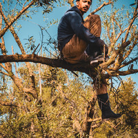 Oued Zat, Last Harvest