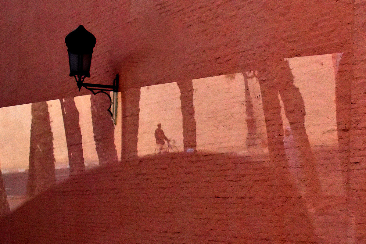 The wall rider of Marrakech