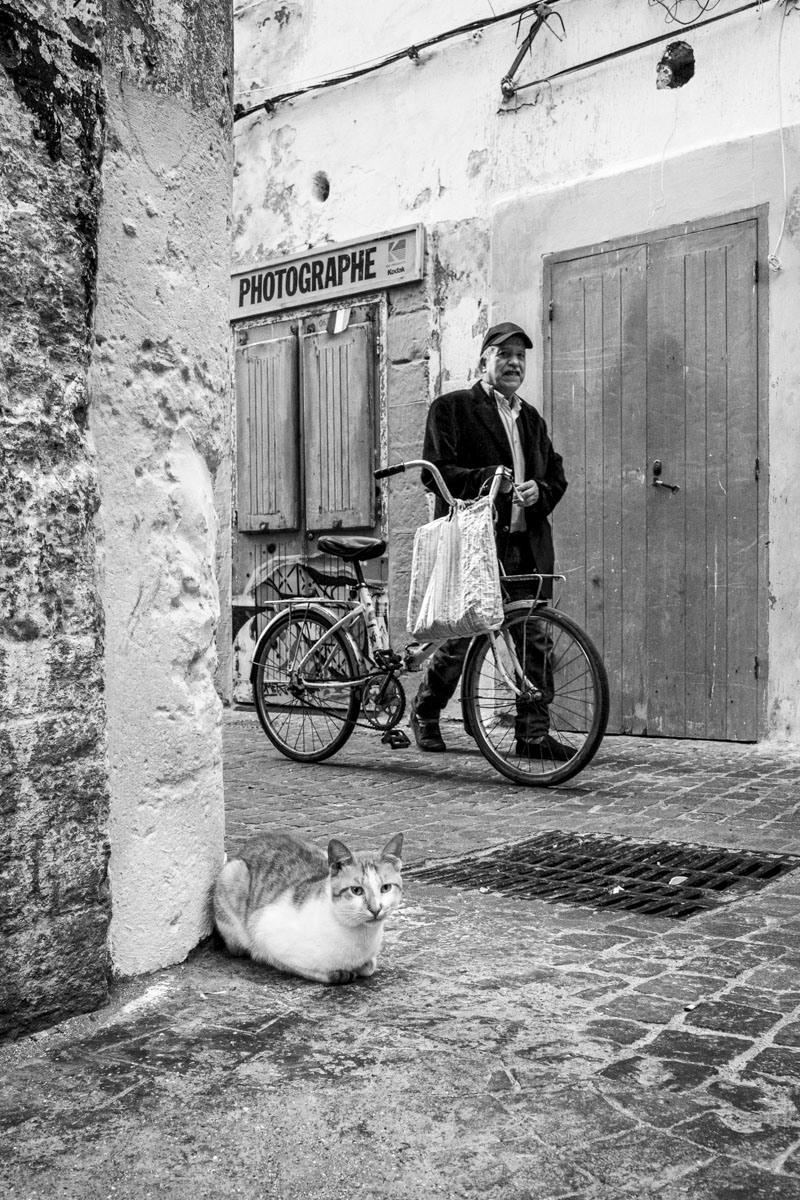 Chroniques des ruelles d'Essaouira