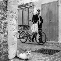 Chroniques des ruelles d'Essaouira