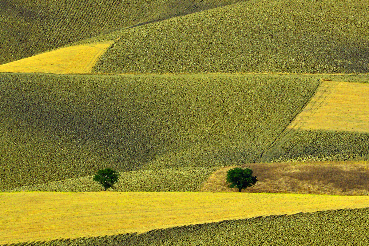 Paesaggio lucano con geometrie