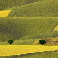 Paesaggio lucano con geometrie