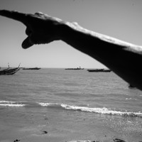 Fishing Is My Destiny