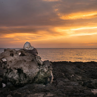 sidi jmour